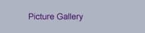 Picture Gallery